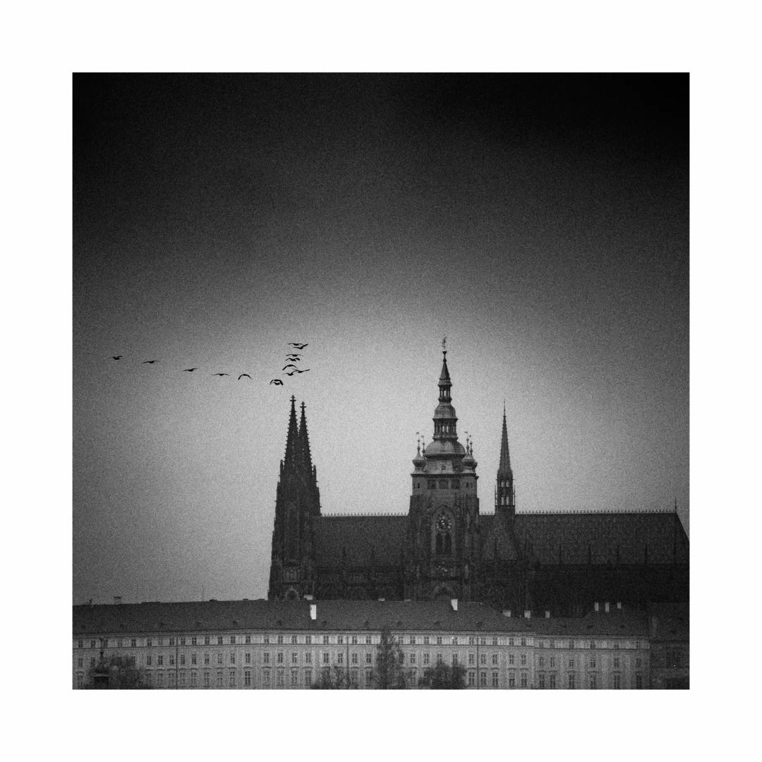 https://monicariveiro.es/en/fotografia-de-calle-sin-expectativas/
#Prague #visualcalm #streetphotography_bw #framesmag #fotazasfotoclub #womenstreetphotographers #streetphotographersmagazine #eyesshotmag #scp_by_bulb #culturainquieta #bnwphotography #bnw_artstyle #bnwsoul #capturestreets #lensculturestreets #storyofthestreet #blackandwhitephotographymagazine #blackandwhitephotographer #creativeprocess #urbanstillness
