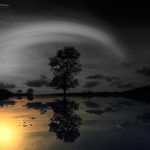 ONE