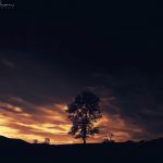 ONE