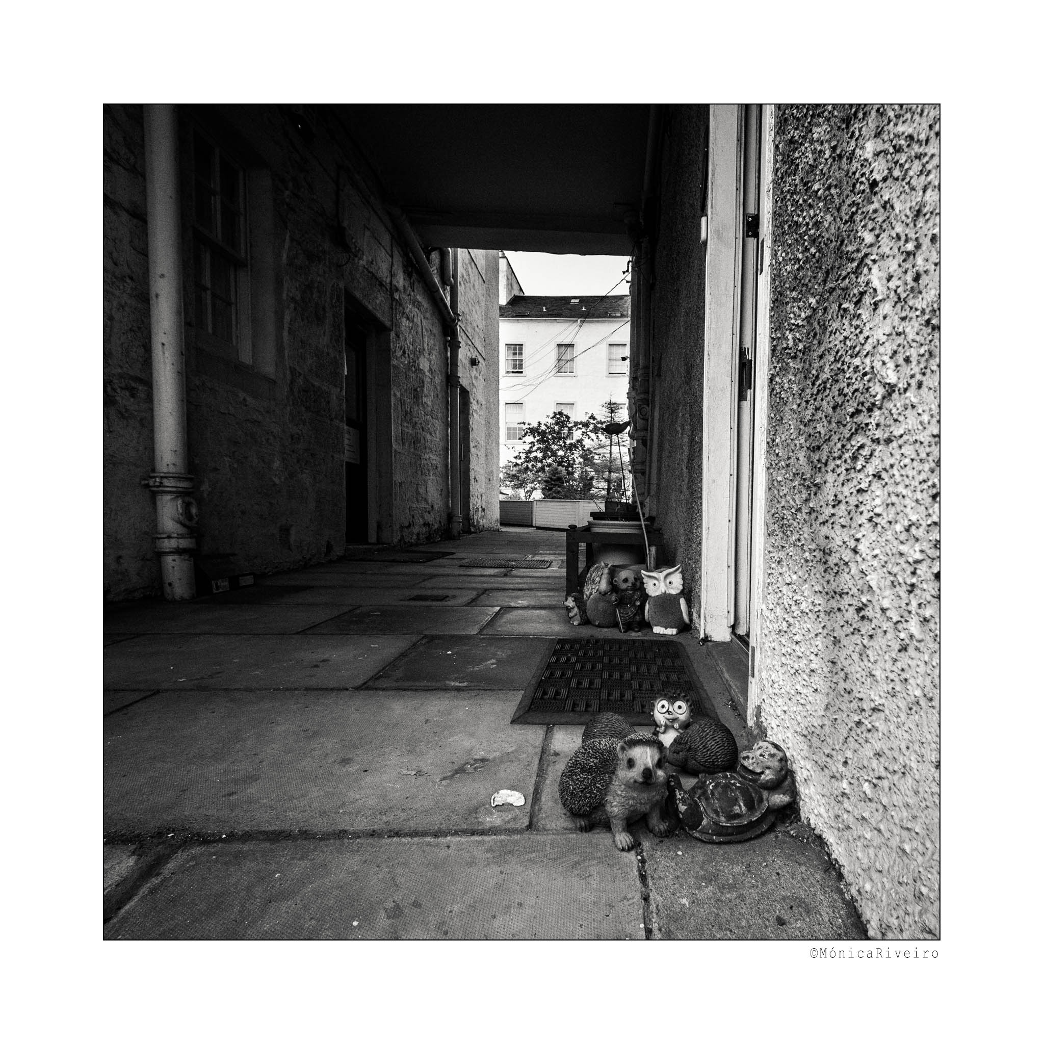 edimburgo11