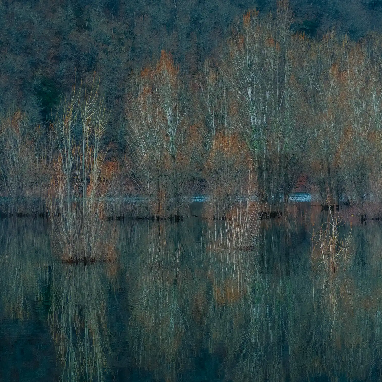 fotografía de color en la naturaleza suave y atemporal de ALMA