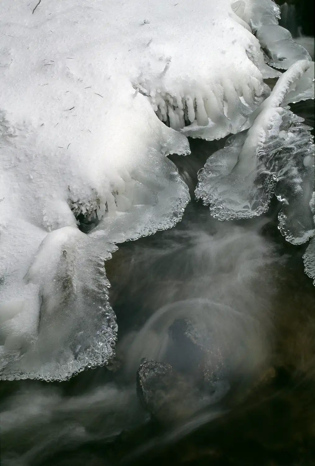 Joyas de hielo en el río durante los fríos inviernos de la Sierra de Guadarrama