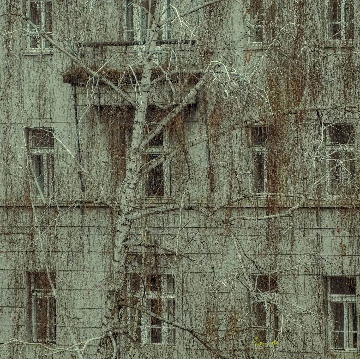 Numerosas vetanas en un edificio de Praga en invierno