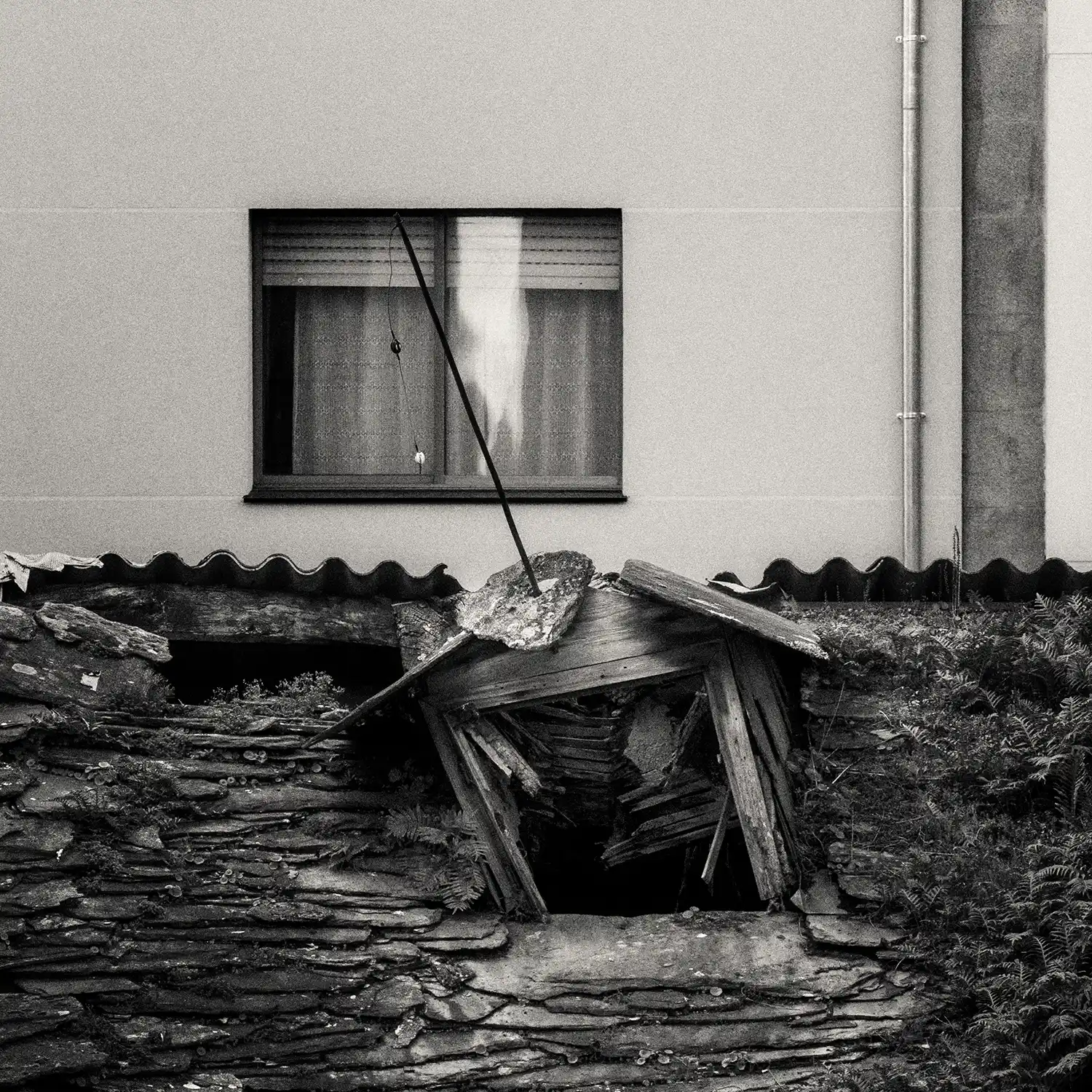 poesía en fotografía