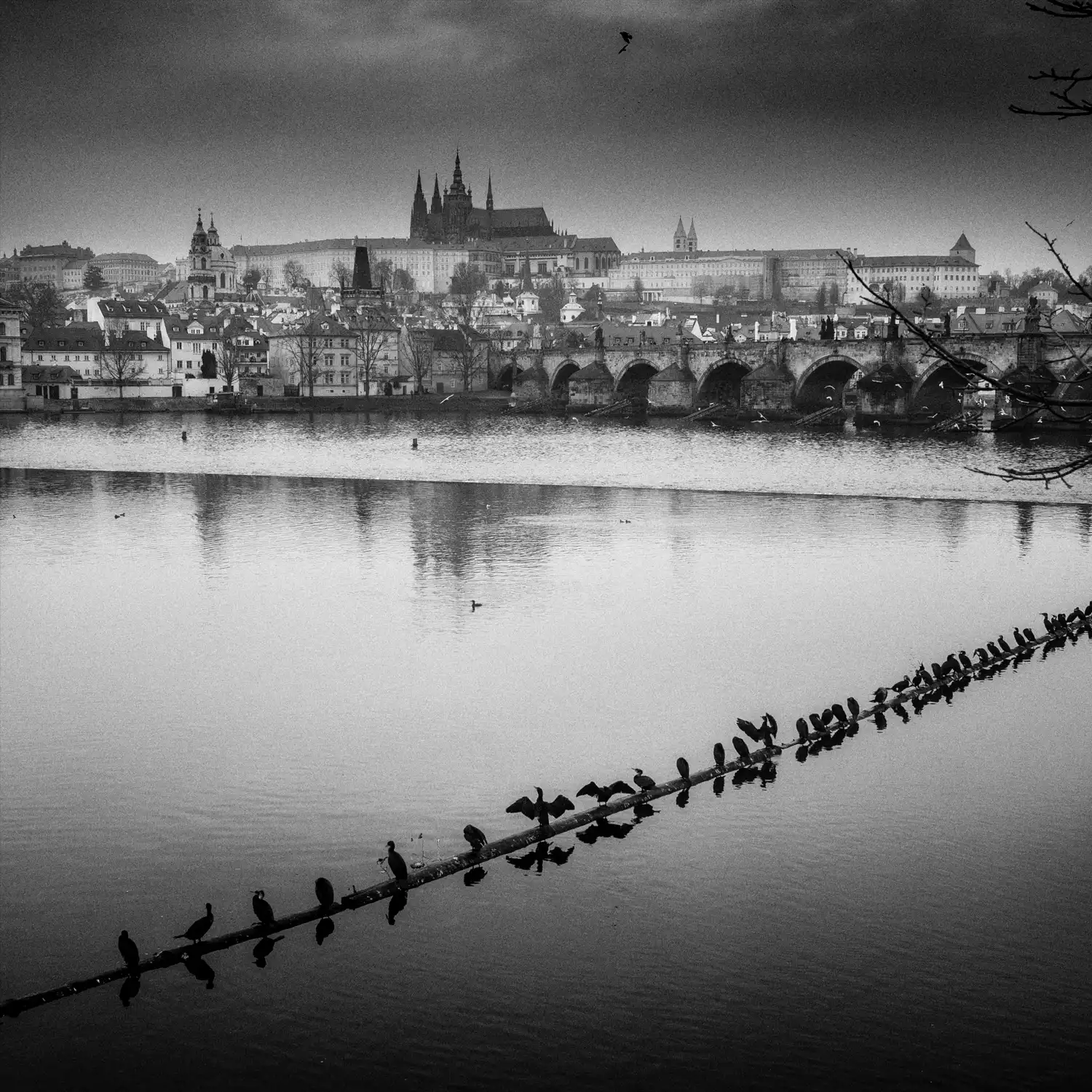 praga19