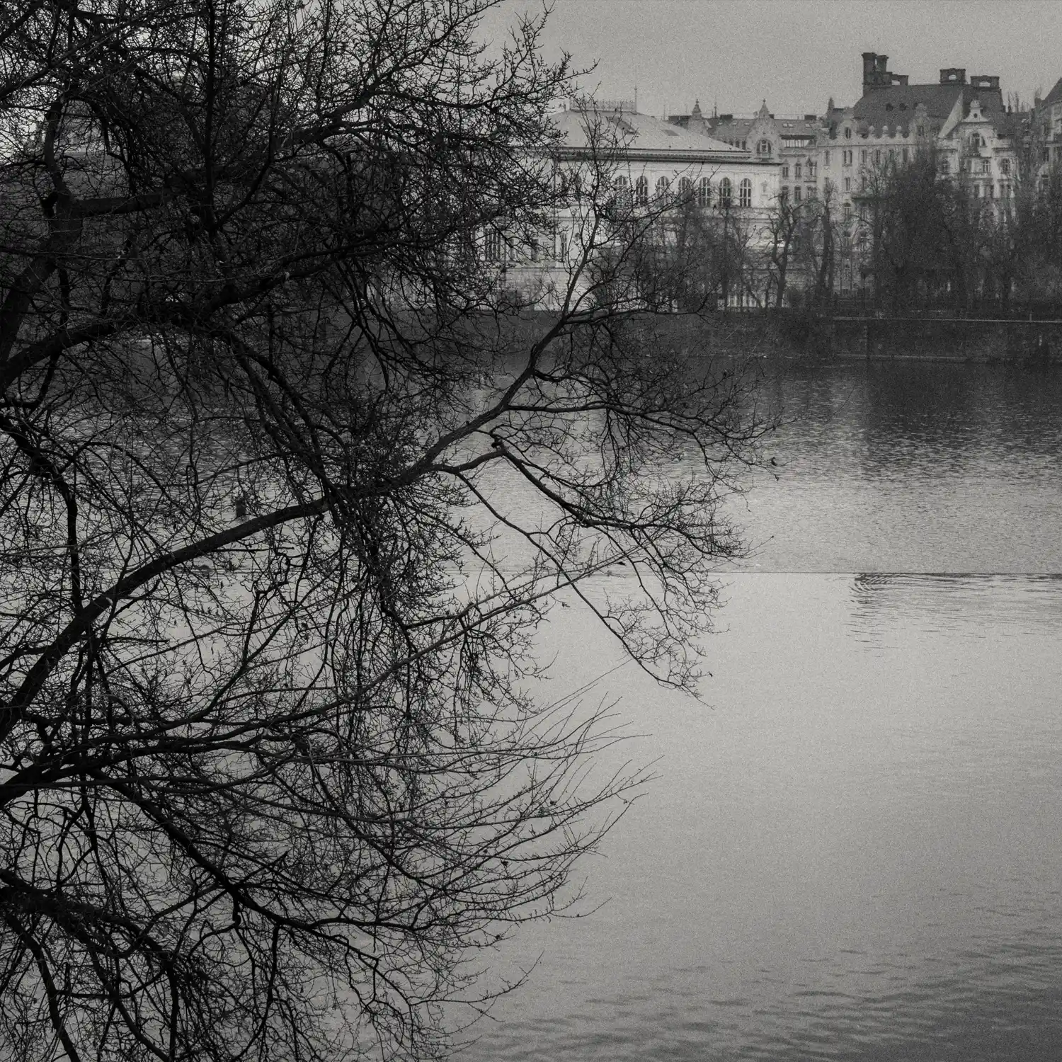 praga24