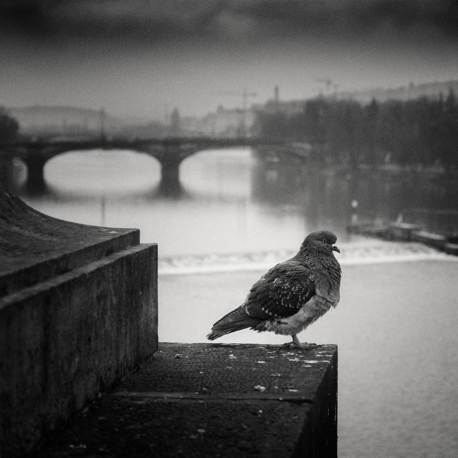praga46
